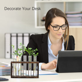 XXXFLOWER indoor-plant display perfect desk decor that adds a fresh touch