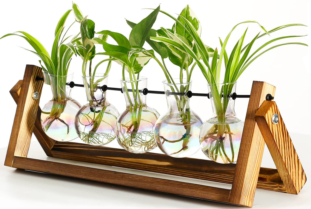XXXFLOWER plant terrarium with wooden stand and five glass bulbs for home décor and propagation.