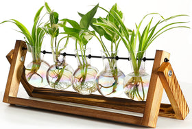 XXXFLOWER plant terrarium with wooden stand and five glass bulbs for home décor and propagation.