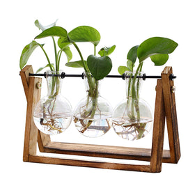 XXXFLOWER plant terrarium with wooden stand on a desk for stylish decor
