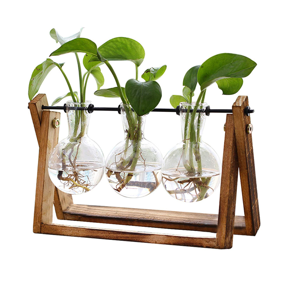 XXXFLOWER plant terrarium with wooden stand on a desk for stylish decor