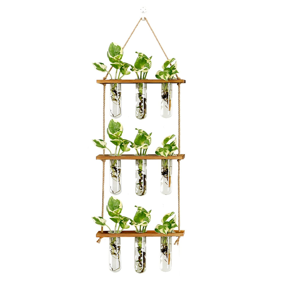XXXFLOWER propagation station with wood stand and glass tubes for elegant wall decor and rooting cuttings.
