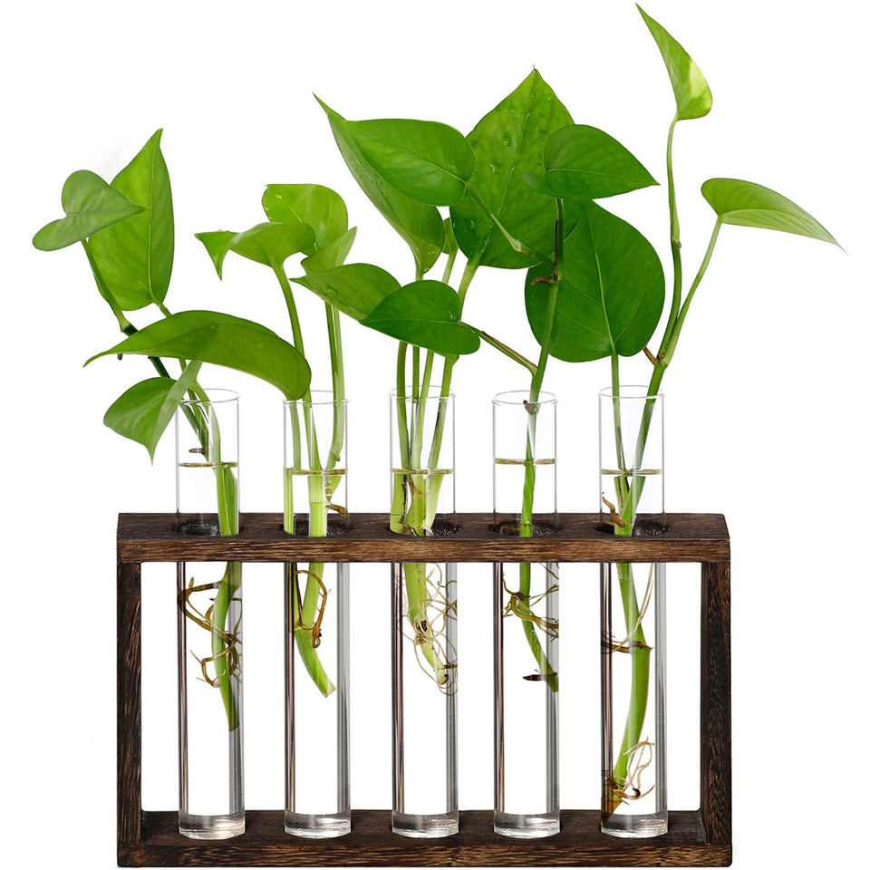 XXXFLOWER propagation station wooden stand with five tubes for easy plant rooting on a desk