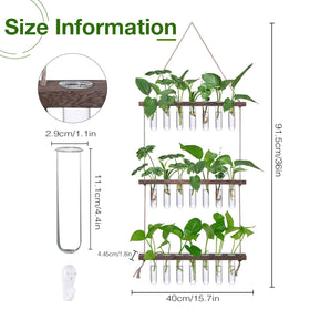 XXXFLOWER three-tier wooden stand holds glass tubes for compact propagation display
