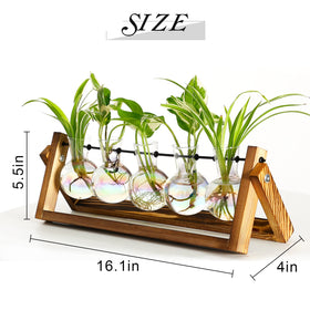 XXXFLOWER wall hanging glass planter ideal for compact spaces and stylish decor.