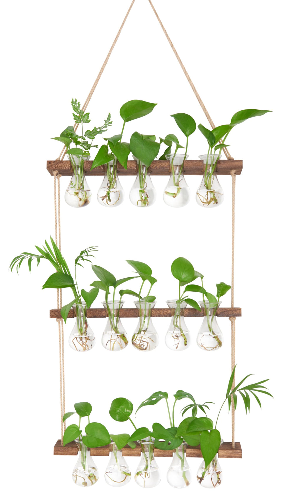 XXXFLOWER wall hanging propagation station with 5-bulb vase adds greenery to your desk space