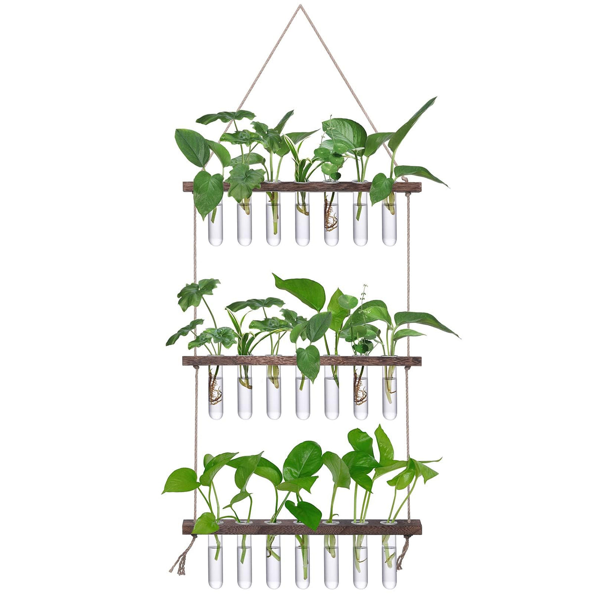 XXXFLOWER wall hanging propagation station with wooden stand and 21 glass tubes for cuttings