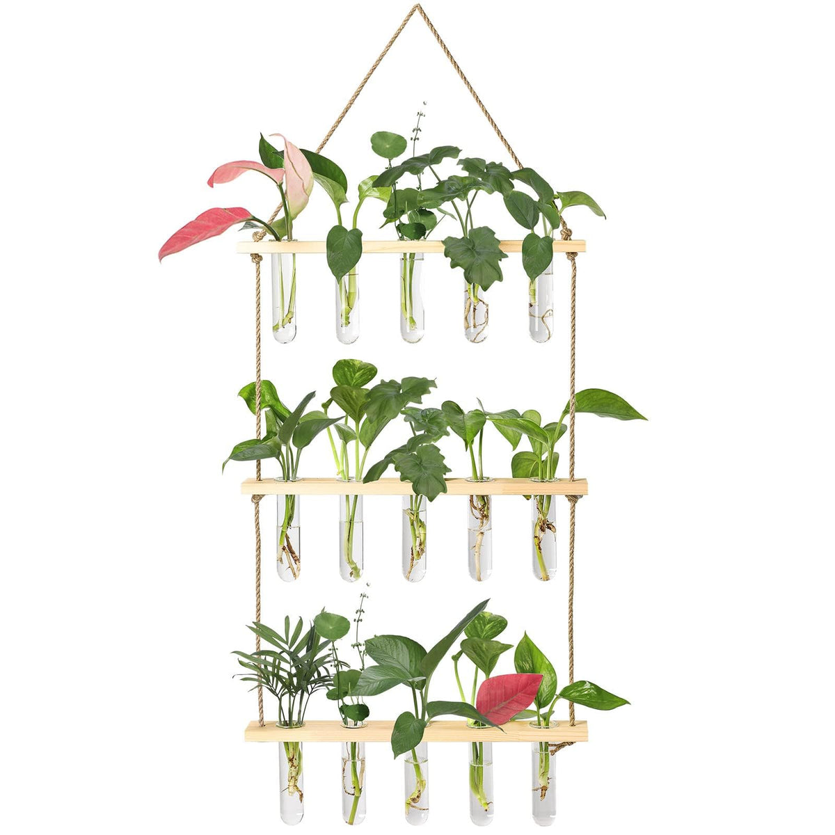 XXXFLOWER wall-hanging propagation station with wooden stand and glass tubes for easy rooting cuttings.