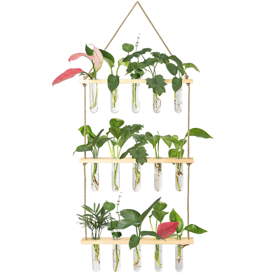 XXXFLOWER wall-hanging propagation station with wooden stand and glass tubes for easy rooting cuttings.