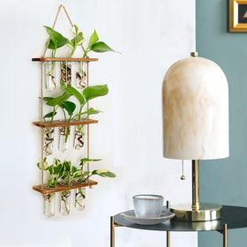 XXXFLOWER wall-mounted propagation station adds space-saving charm.