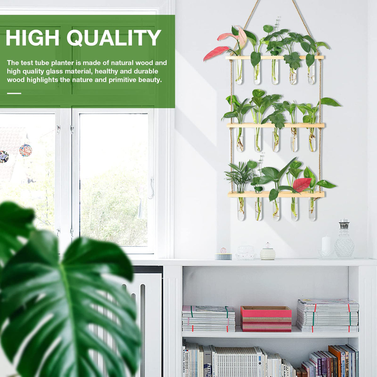 XXXFLOWER wall terrarium decor adds natural charm to any home or office.