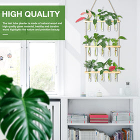 XXXFLOWER wall terrarium decor adds natural charm to any home or office.