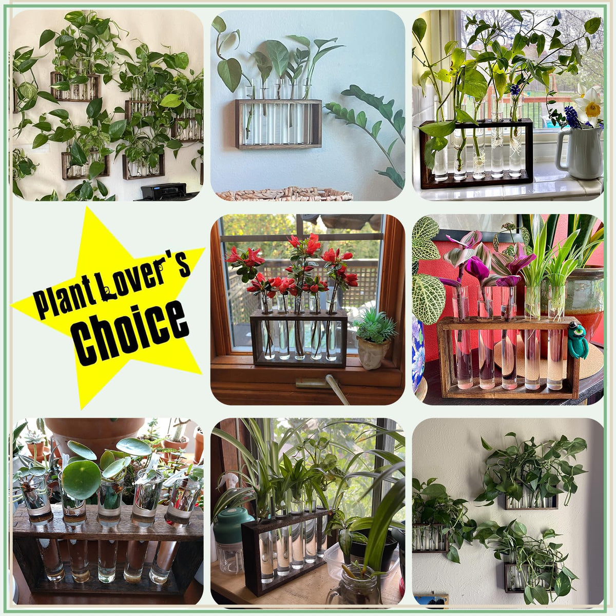 XXXFLOWER wooden-stand dimensions help you place this stylish display on shelves