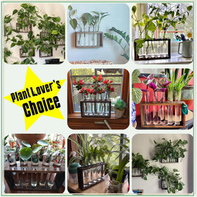 XXXFLOWER wooden-stand dimensions help you place this stylish display on shelves