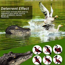 Xxzhiho outdoor statue alligator head serves as yard decor.