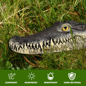 Xxzhiho life-like alligator head floats securely in water.