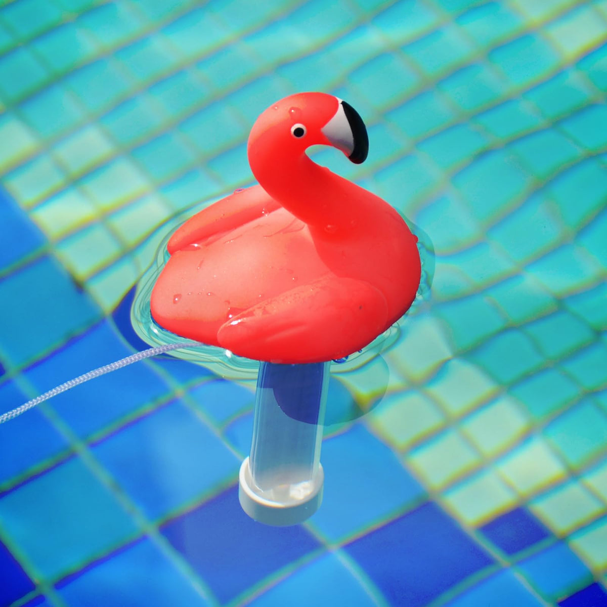 XY-WQ pond or aquarium thermometer for easy temperature monitoring