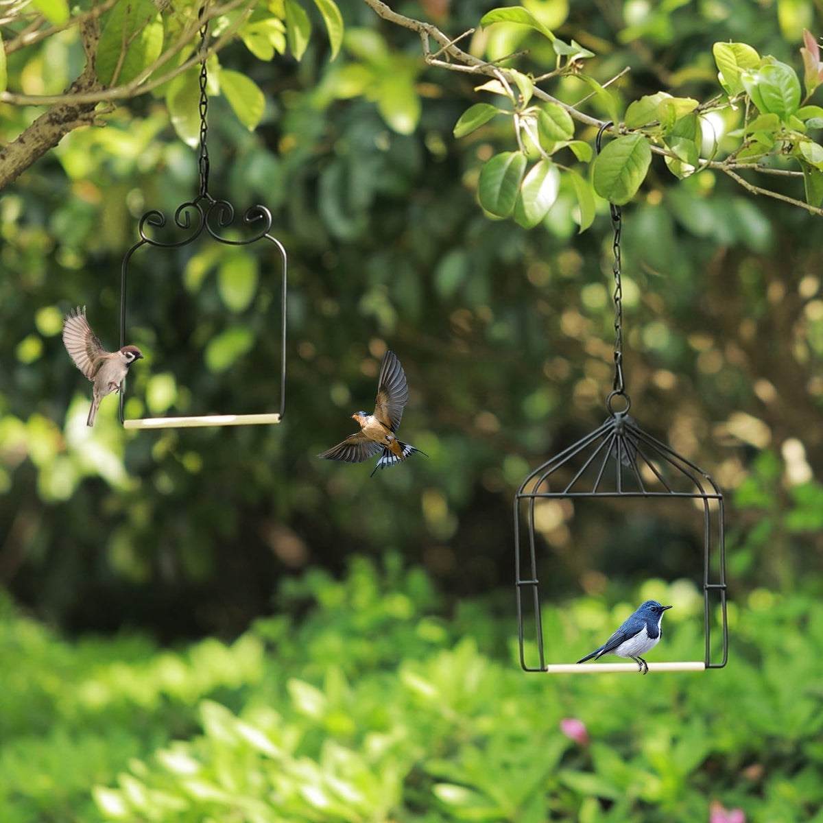 XYADX hummingbird swing set adds green charm to courtyard.