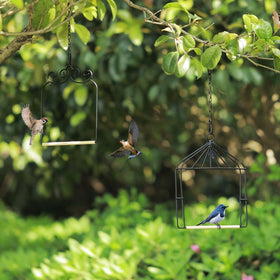 XYADX hummingbird swing set adds green charm to courtyard.