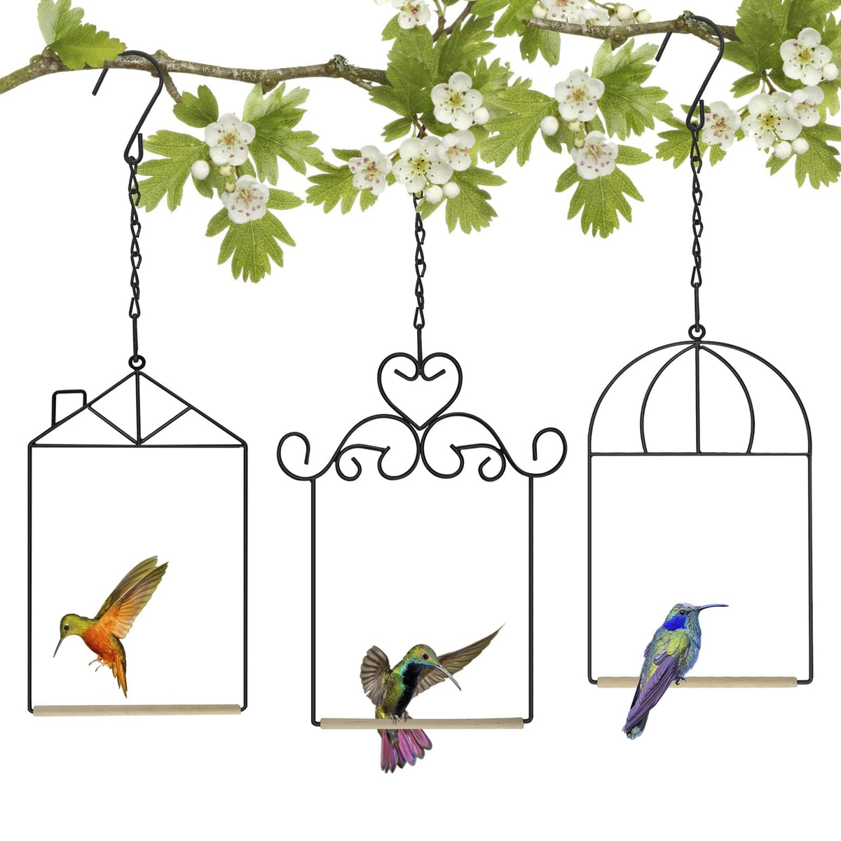 XYADX metal frame hummingbird swings showcase outdoor beauty and easy bird viewing