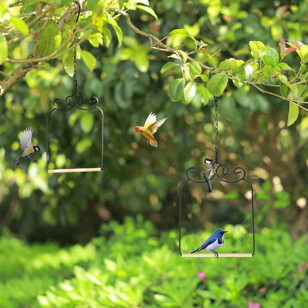 XYADX nature-inspired cage hammock adds garden decorative charm.