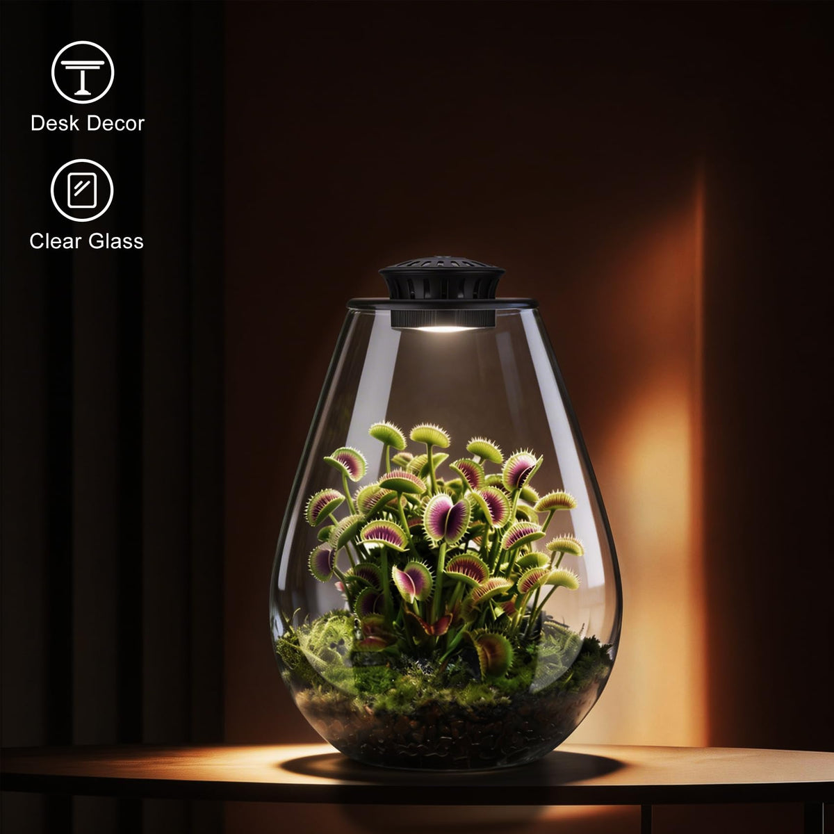 Xyingshine desk green-scape terrarium with moss and small plants