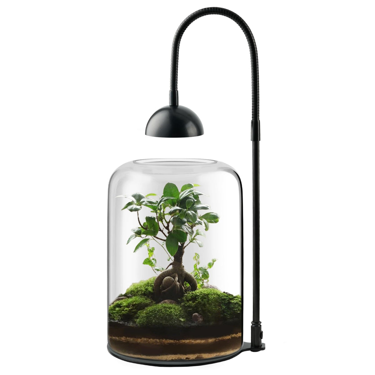 Xyingshine desktop terrarium kit includes light and setup guide.