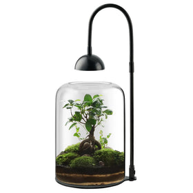 Xyingshine desktop terrarium kit includes light and setup guide.