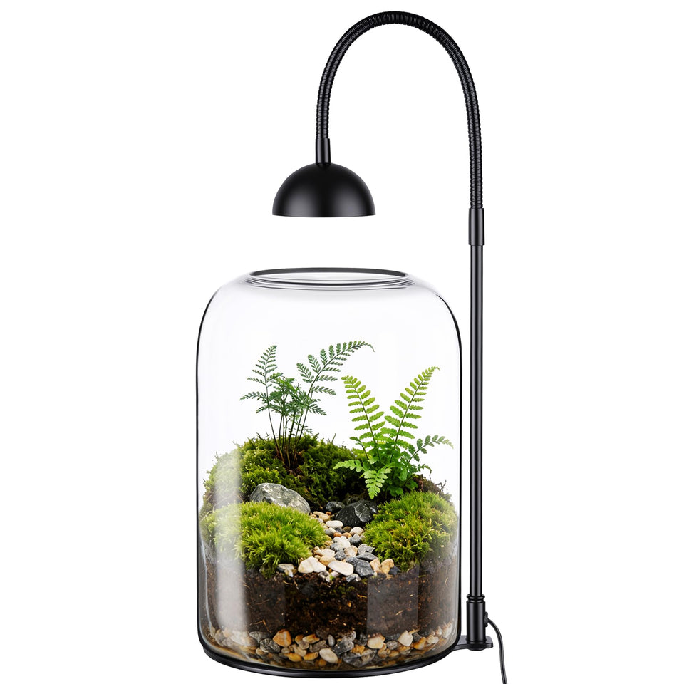 Xyingshine glass terrarium with LED Grow Light brightens desk plant care.