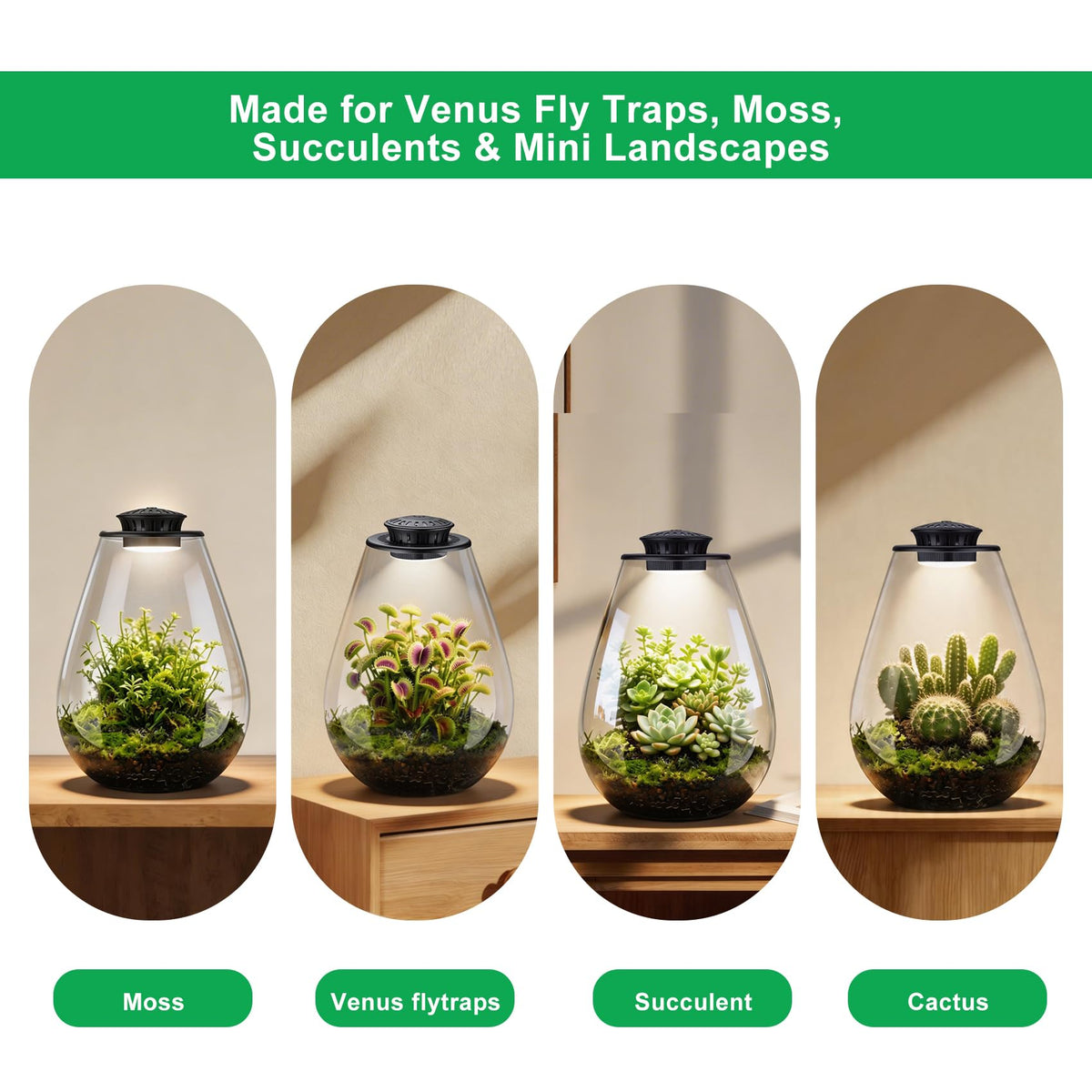 Xyingshine glass terrarium side view in a modern workspace