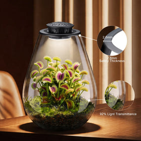 Xyingshine LED grow light on the terrarium shelf with glow