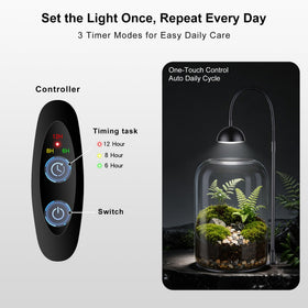 Xyingshine adjustable ventilation balances moisture in a compact terrarium.