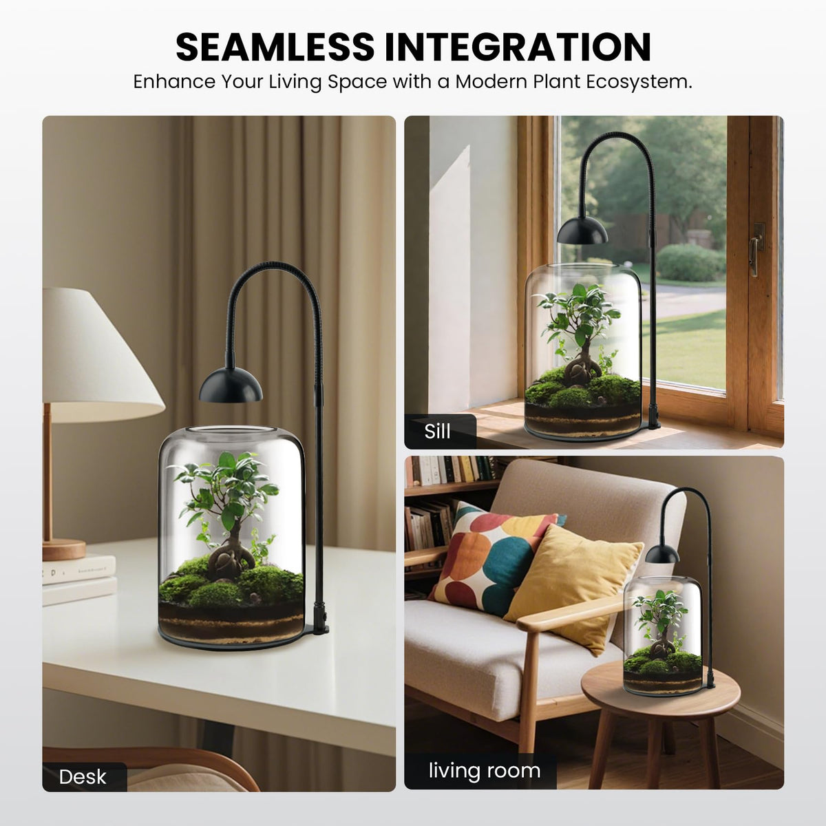 Xyingshine Venus Fly Trap setup fits a desktop carnivorous plant.