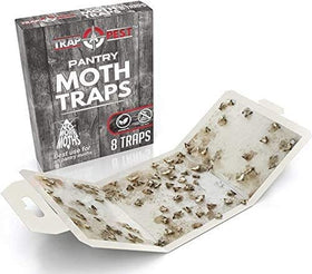 YABULI pantry moth trap discreet cabinet design blends with kitchen decor