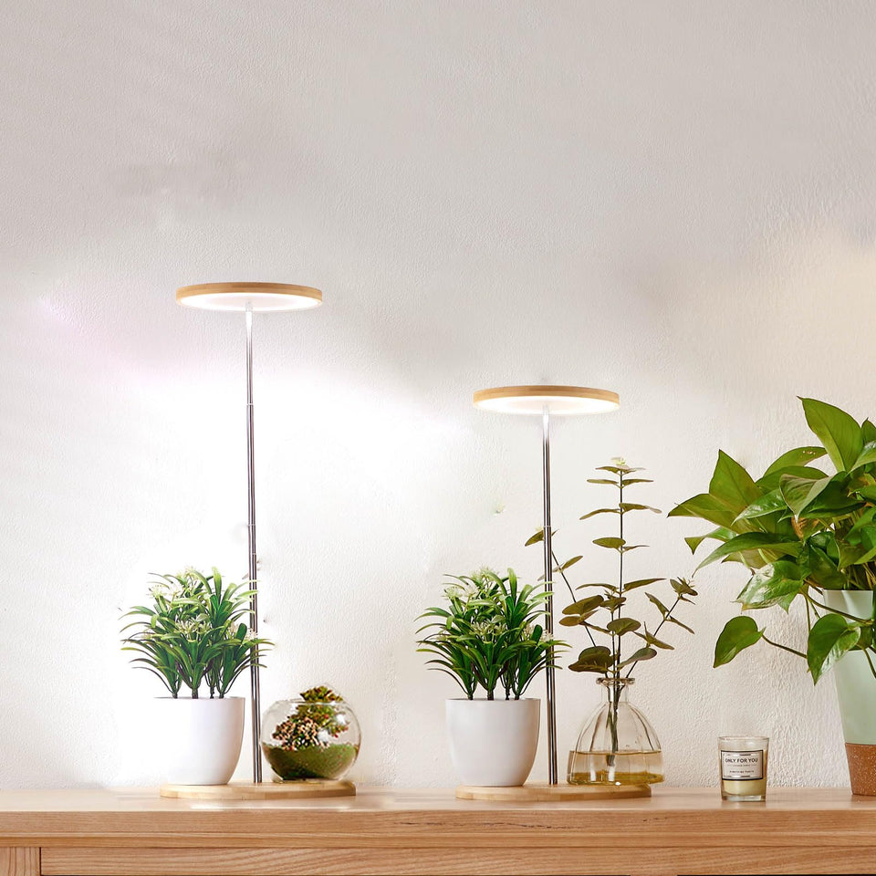 Yadoker bamboo mini LED grow light on a desk for herbs and succulents