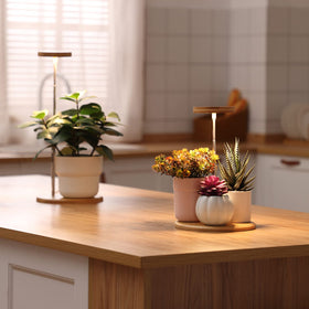 yadoker Bamboo Mini LED Grow Light, timer settings for easy set-and-forget operation