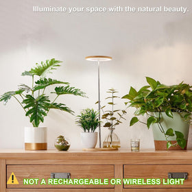 Yadoker compact grow light suitable for dorm rooms and desks