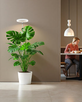 Yadoker easy-assembly grow light for quick setup.