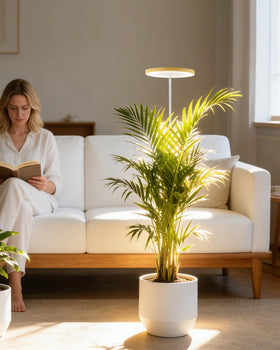 Yadoker energy-efficient design reduces heat while supporting steady growth