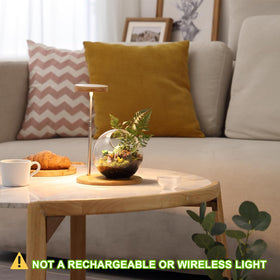 Yadoker full-spectrum 380-780nm LED delivers balanced indoor light