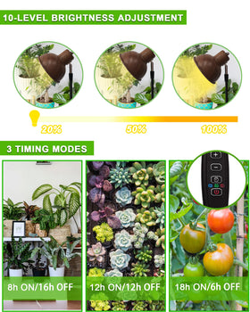 Yadoker full-spectrum LED grow light supports year-round indoor plant growth.