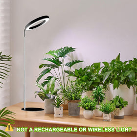 Yadoker full spectrum light is ideal for herbs, greens, and succulents.