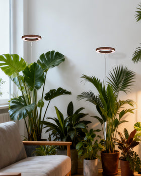 Yadoker grow light auto timer for daily on-off cycles