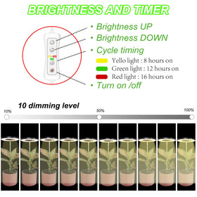 Yadoker grow light with built-in timer for effortless daily lighting