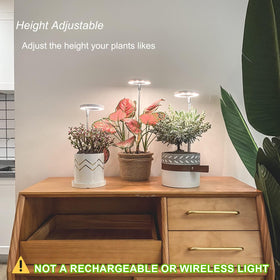 Yadoker grow light with automatic timer for easy scheduling.
