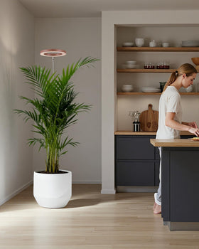 Yadoker grow light heat-dissipation design for reliable use