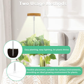 Yadoker Halo height adjustable pole with 10 brightness settings