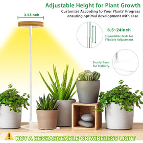 Yadoker Halo light ready for soil insertion for compact plant setups