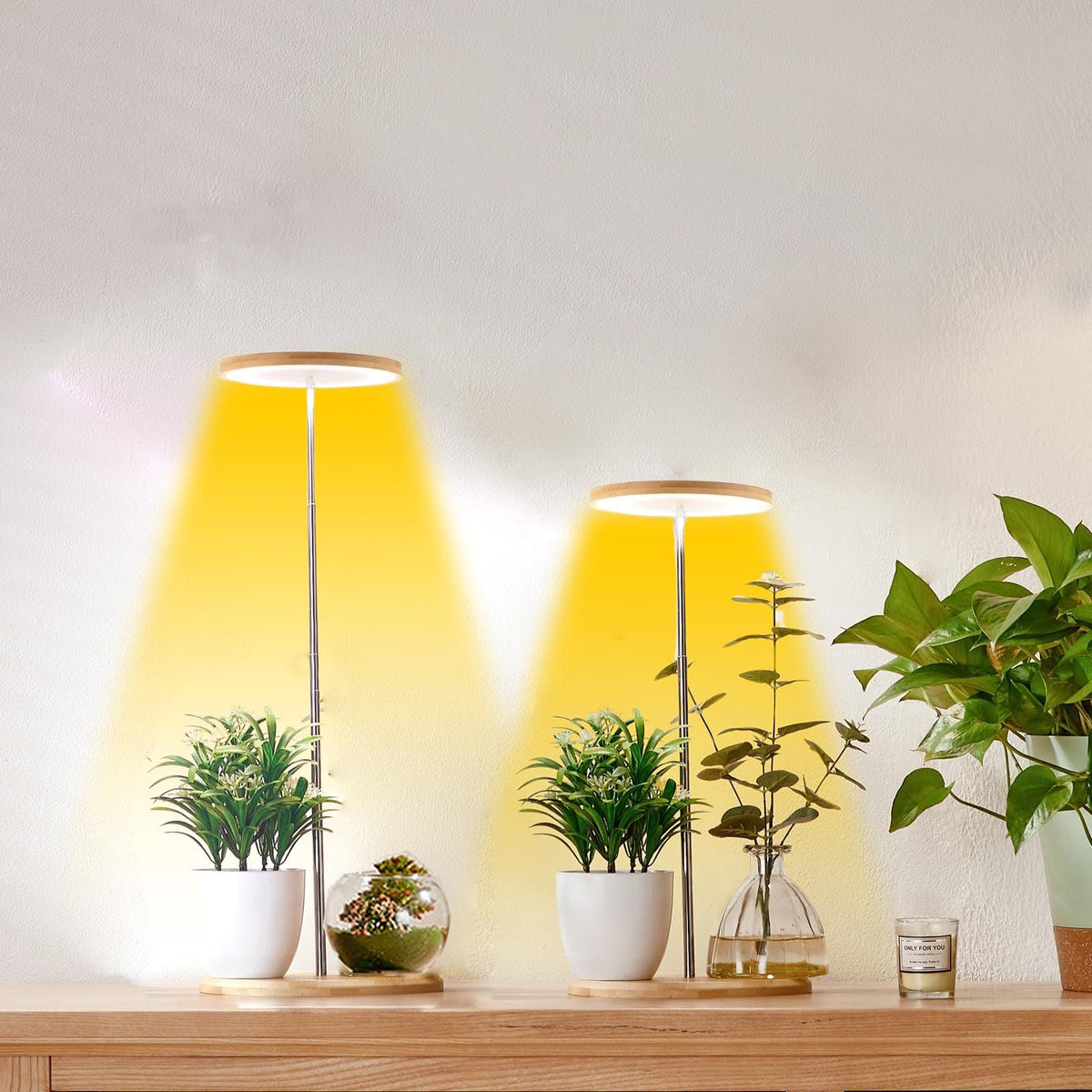 Yadoker height-adjustable grow light on a pole over plants