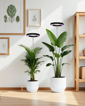 Yadoker large-coverage design evenly lights multiple nearby plants.